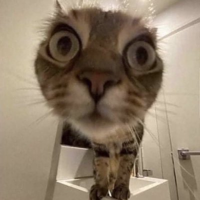 yep1105's profile picture. Only LukaHuyna ❌🔄