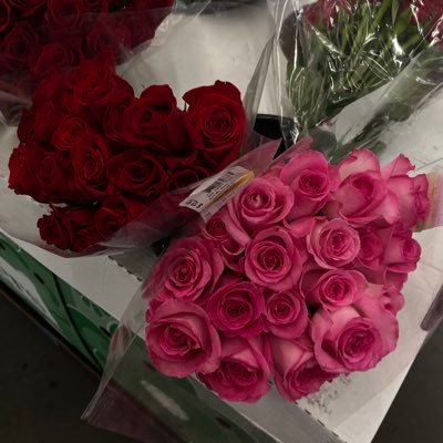 reonadaily's profile picture. sexy ole me .|🏳️‍🌈🏳️‍🌈🏳️‍🌈🏳️‍🌈pyttt