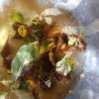 Allison Teague (@all_is_one_too) 's Twitter Profile