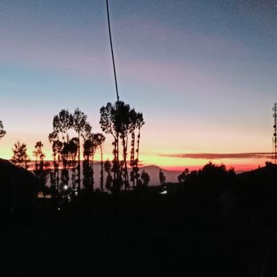 adenium_0512's profile picture. akun suka2