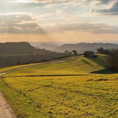 waahlomat85's profile picture. Einfach auf Twitter um Nachrichten und News zu lesen.