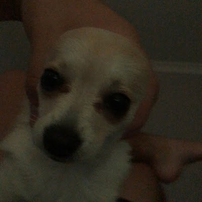 pinksock_445's profile picture. 