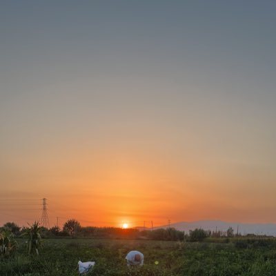 BastarFatma Profile Picture