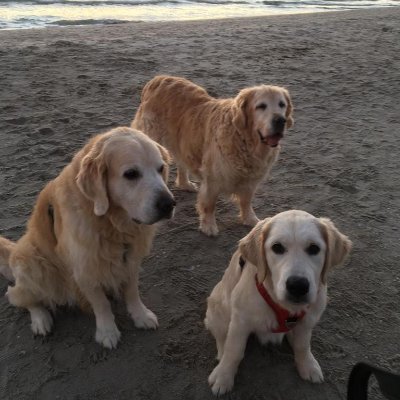 Dleisi3573061's profile picture. 