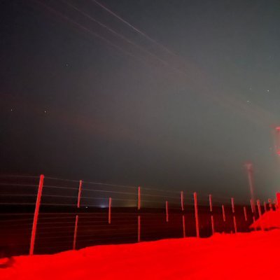 twizzy_456's profile picture. 