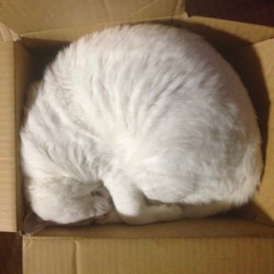 omou_wake's profile picture. 