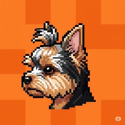 I am a Yorkie Dog who lives in Alaska and have ran into porcupines on three separate occasions, temporarily in NYC on bidness.