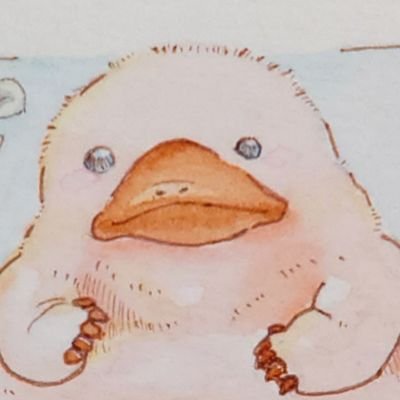 はざさんのプロフィール画像