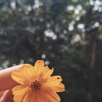 Gifted˚✩♡ (@d_only_gifted) 's Twitter Profile