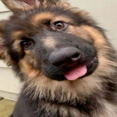 Kittyweedd's profile picture. any