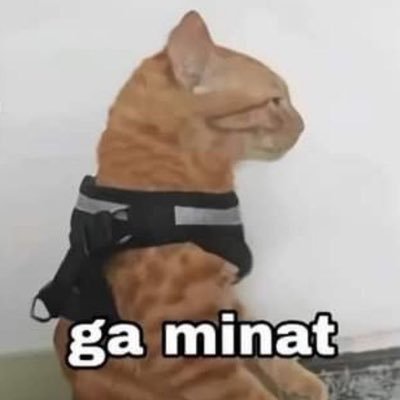 lemperstress's profile picture. Intrusive Thoughts Diary