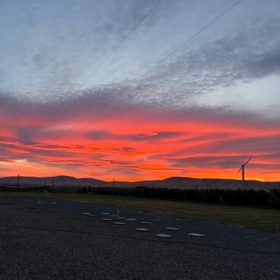 RamiroC81782353's profile picture. Todo