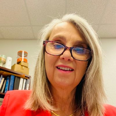 Director, Elementary Education , School District of Osceola County, FL