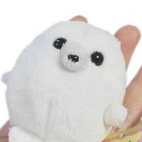 하프🦭 (@harp_seal_31) 's Twitter Profile