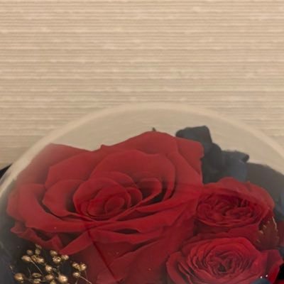 shosan_81's profile picture. 