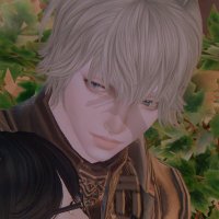 πππ (@gamtae_ff14) 's Twitter Profile