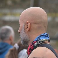 Duayen (@birduayen) 's Twitter Profile Photo