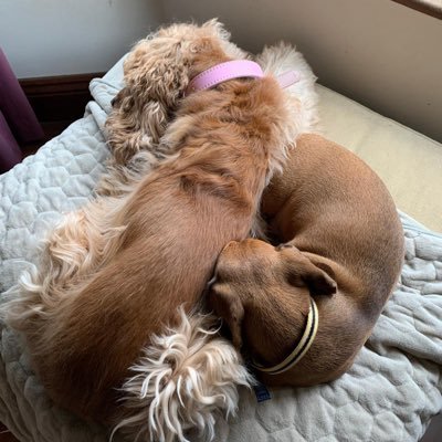 o_darragh99553's profile picture. 