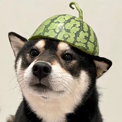 SakuraCrypto233's profile picture. 言语像风，思想像海，有趣的人，总该被收藏。