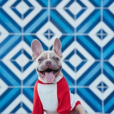 KyleCalaway81's profile picture. 🌟 Life is an adventure | Join me on this journey