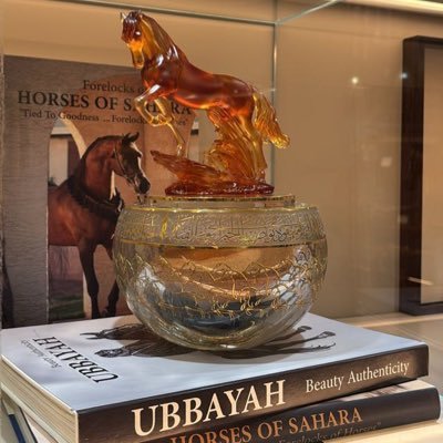 renad_f2's profile picture. 