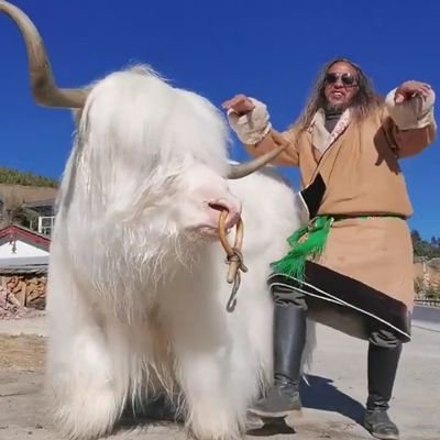 arsalanahmedk's profile picture. omnomnom