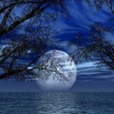 tammy cuevas - @tomasa4760 - Twitter