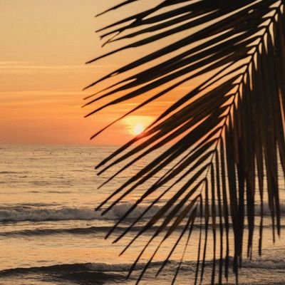 ChangGuerrero's profile picture. 