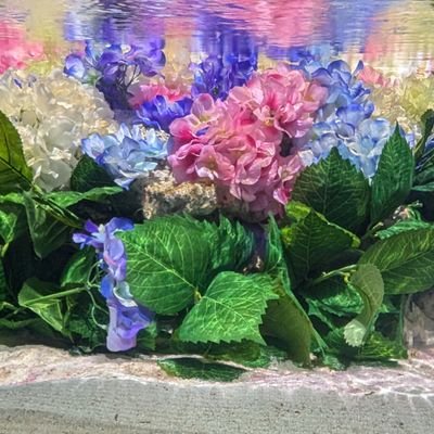 ずっと大好きで憧れだったロリィタを着始めました。20↑黒、白、深い赤系統が好きです。コーデの記録をします✍️
初心者ですがよろしくお願いします🙏
Love→アイカツ！(藤堂ユリカ様推し)、プリキュア、プリオケ、メイドさん等