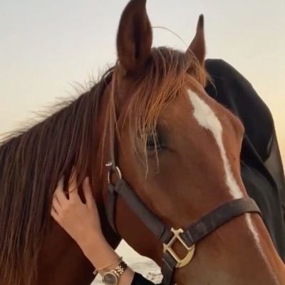@leenalqahtani_