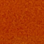 shellofacoconut's profile picture. 