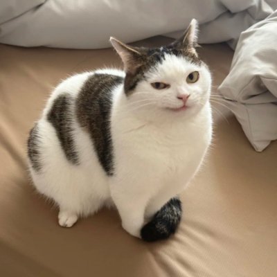 Hi I'm poopyfarts pizza time
I like silly cats and horror games meme
NSFW bots ai dni