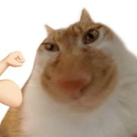 📦 (@carrot_addicted) 's Twitter Profile