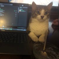 tiana (@tiana0a) Twitter profile photo