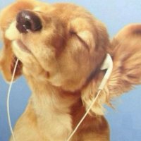 Marcellus (@vjforthreepriv) 's Twitter Profile