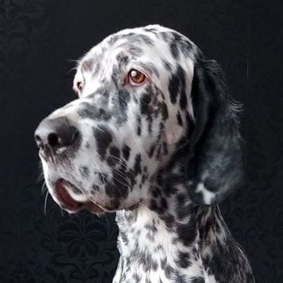 Impikaunoinen's profile picture. Sille, joka rakkauden vuoksi matkustaa, tuntuu tuhatkin kilometriä yhdeltä.