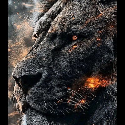 JC5462677397052's profile picture. God First 🙏 Crypto enthusiast ☝️Grateful for every day 🍀