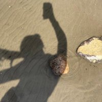 Michelle Jiggly (@quackme123) 's Twitter Profile