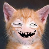 Мурзік Васильович повертається (@badkittyua) 's Twitter Profile Photo Мурзік Васильович повертається (@badkittyua) 's Twitter Profile Photo