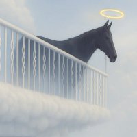 juan. on heaven (@juanonheaven1) 's Twitter Profile