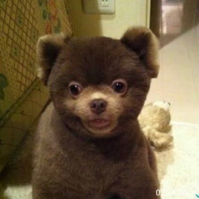 maitesfreitas's profile picture. não tem nada que esteja ruim que não possa piorar!!!