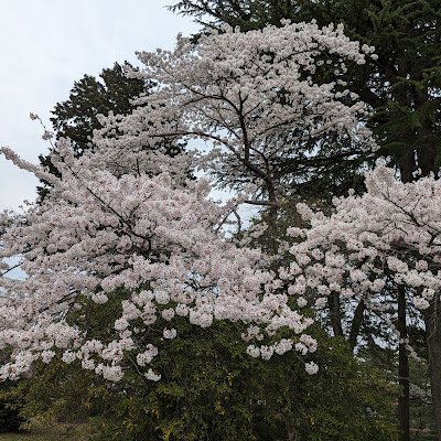 TamarkSd0327's profile picture. 