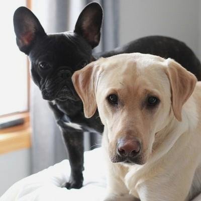 grgr8383632's profile picture. 🚀 Building the future, one idea at a time | Always learning