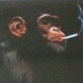 fede_dj22's profile picture. 