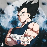 Prince Vegeta (@prince_vegeta30) 's Twitter Profile