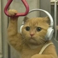 Elif (@elifklop) Twitter profile photo