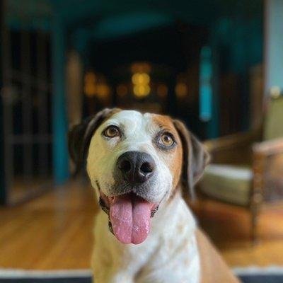 CrawbuckJack's profile picture. 🔥 Chasing excellence daily | Building something amazing