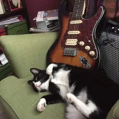 linAuroraNotes's profile picture. 🦷 歯科医は私の技術 | 🎶 音楽は私の魂 | すべての音符と笑顔で生きる