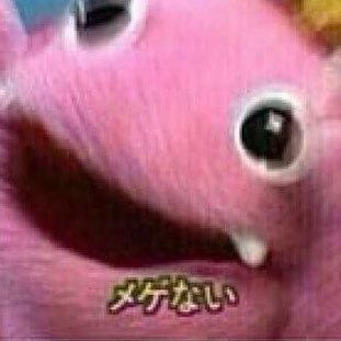 xxx1iq's profile picture. 20⤴︎