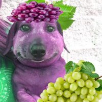 grapechungus π (@grapechungus) 's Twitter Profile